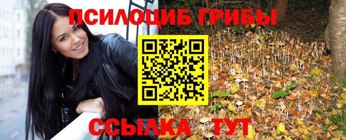 Псилоцибиновые грибы Magic Shrooms Великий Новгород