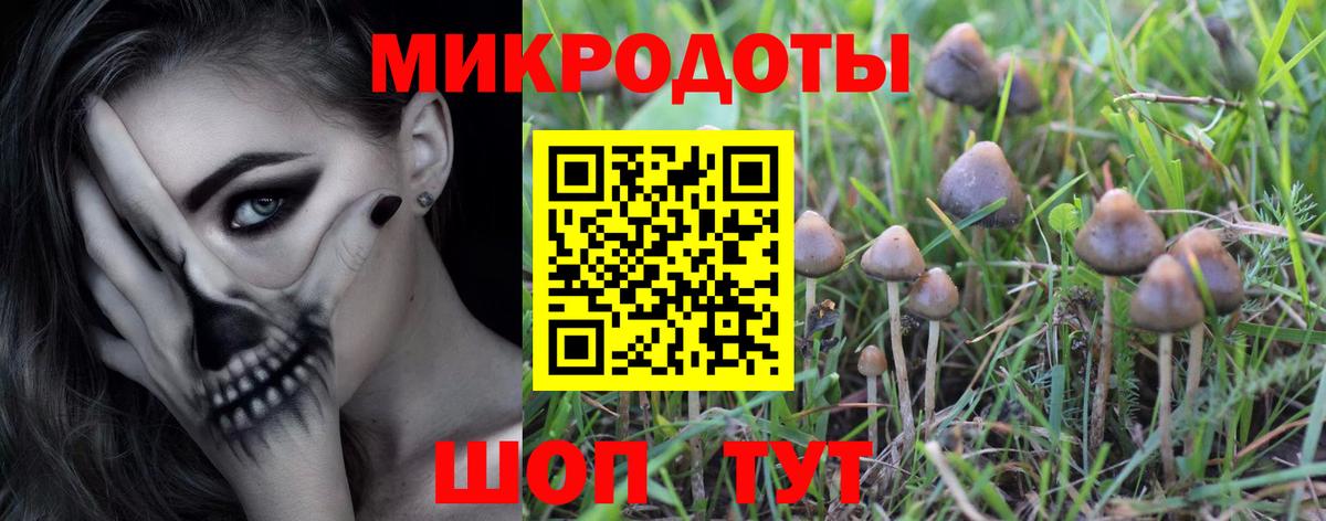 Великий Новгород  хочу наркоту  Вход с VPN  Галлюциногенные грибы прущие грибы 